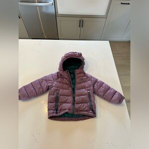 L.L.Bean Toddler 650 Down Jacket